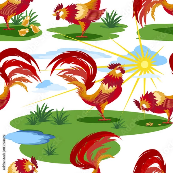 Obraz Vector image of roosters on the background of a lawn and sunny sky. Pattern.