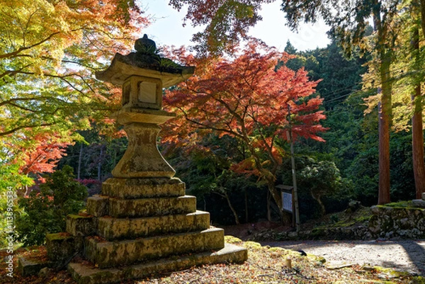 Fototapeta 日吉大社の石灯籠