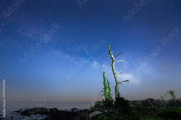 Fototapeta 原始の風景を彷彿させる海岸と能登半島の天の川