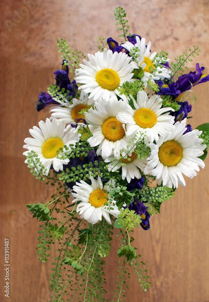 Obraz Bouquet of chamomiles and irises