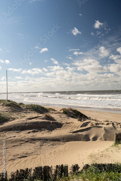 Fototapeta Portfolio 