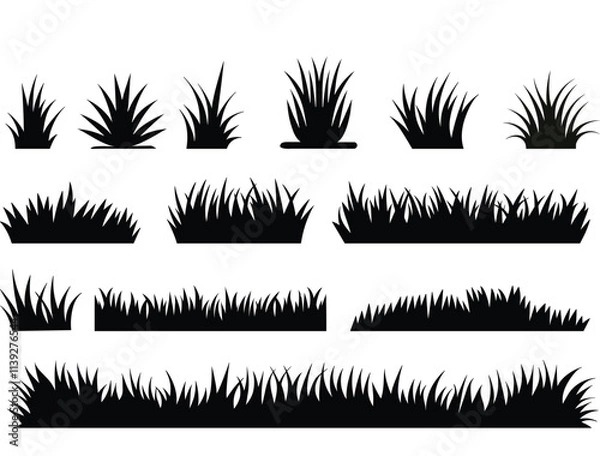Fototapeta Collation of grass silhouettes, bunch of spring grass, vector illustration.
