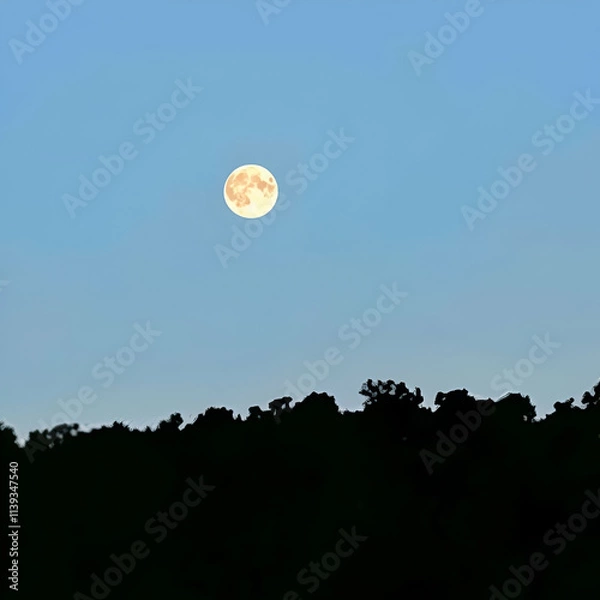 Obraz moon in the sky