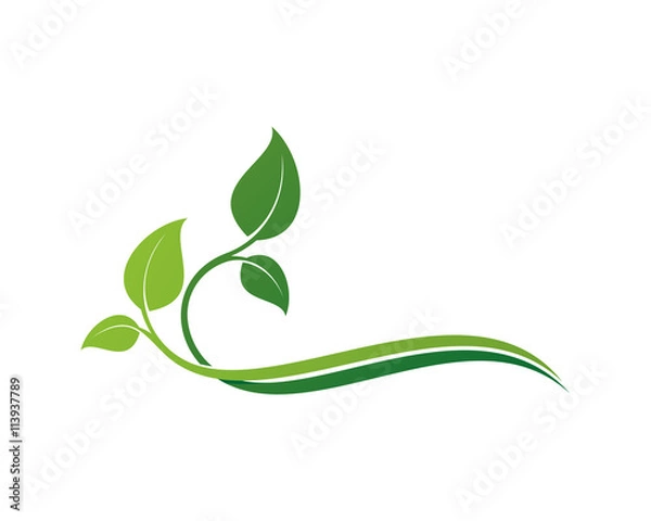 Obraz Ozdoba Liścia