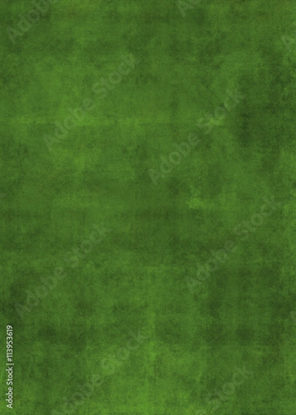 Fototapeta jungle background