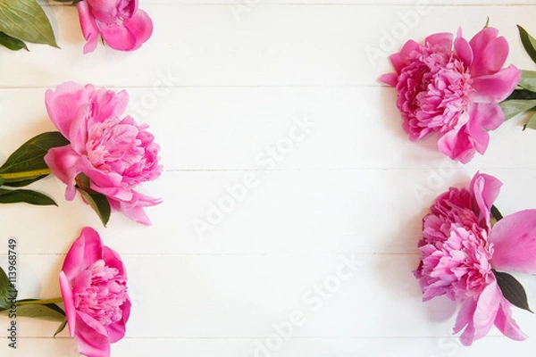 Fototapeta Bright pink peonies on white wooden background. Fresh summer floral background with copy space. Top view, flat lay