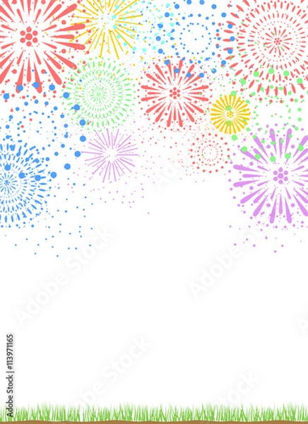 Fototapeta 花火　芝　縦