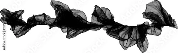 Obraz black and white wings