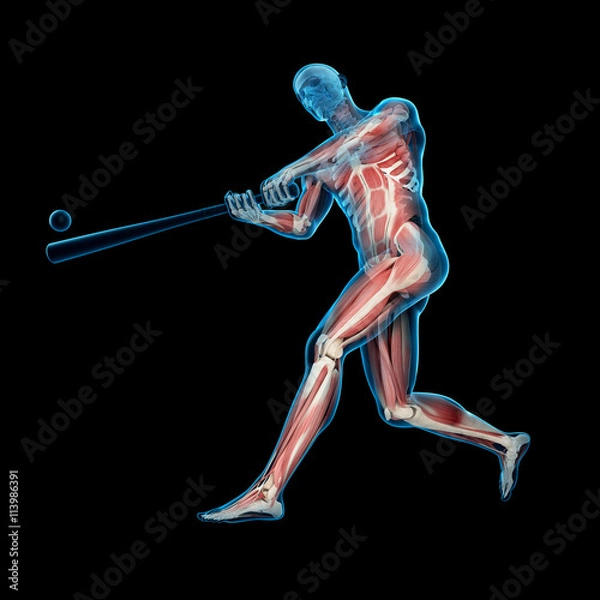 Obraz medically accurate 3d illustration of a baseball player