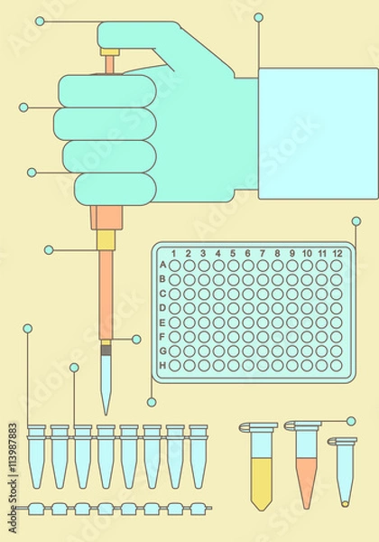 Obraz pcr outline set