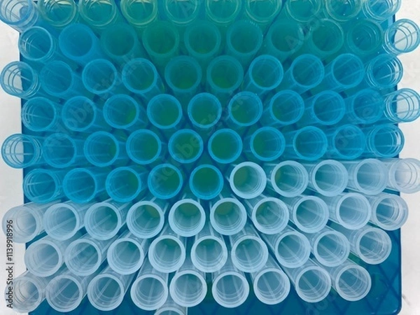 Fototapeta Tip for autopipette, scientific equipment ,Tip of pipette p20 p200 p1000 ,Tip box.