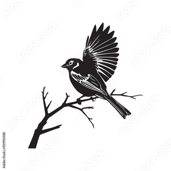 Fototapeta bird on a branch