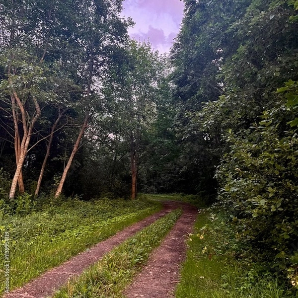Obraz footpath in the countryside 