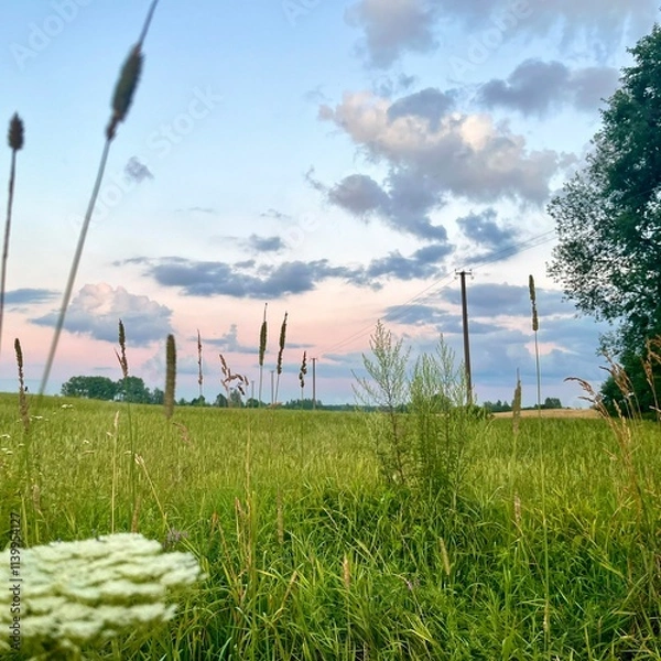 Obraz wind turbines farm