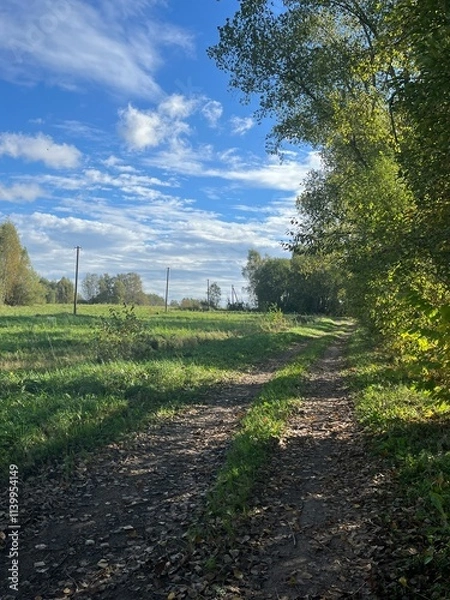 Obraz path in the countryside 