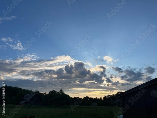 Obraz sunset in the garden 