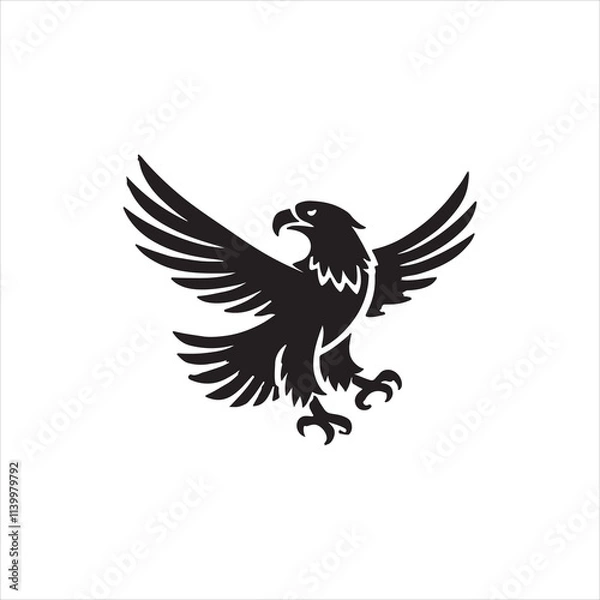Obraz eagle vector illustration