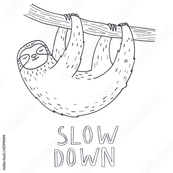 Obraz Hand drawn sloth on tree branch