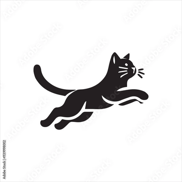 Obraz cat on a white background