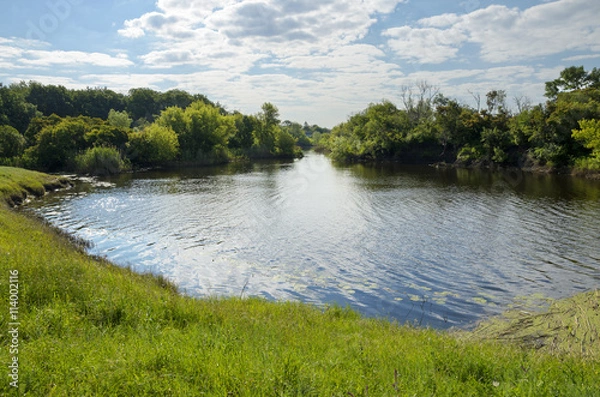 Obraz Sunny summer landscape with river