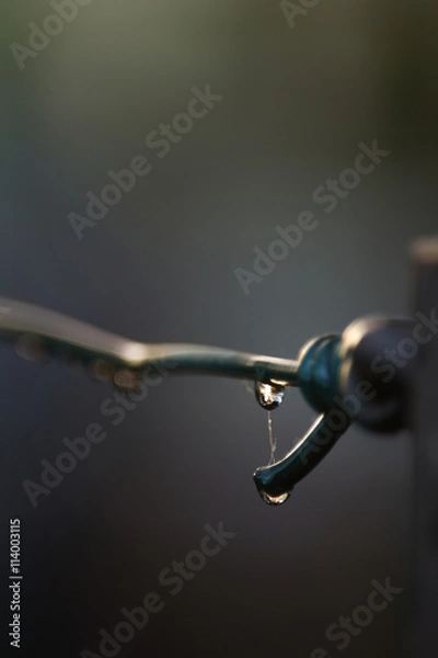 Obraz Samotna kropla wody