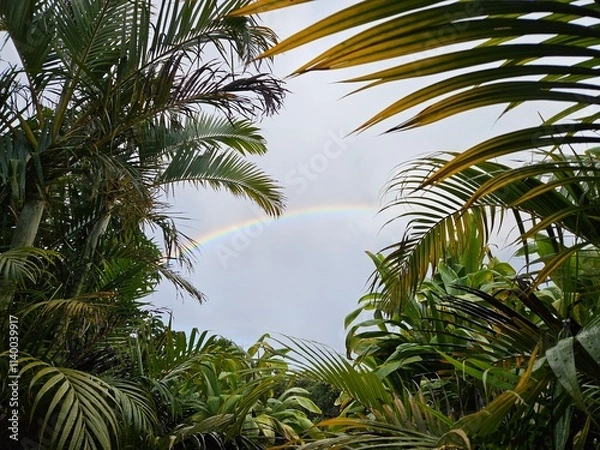 Obraz Tropical Rainbow