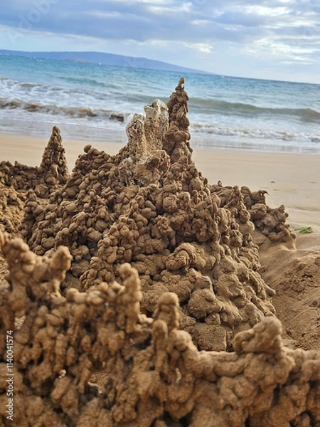 Obraz Beach Sand Castle