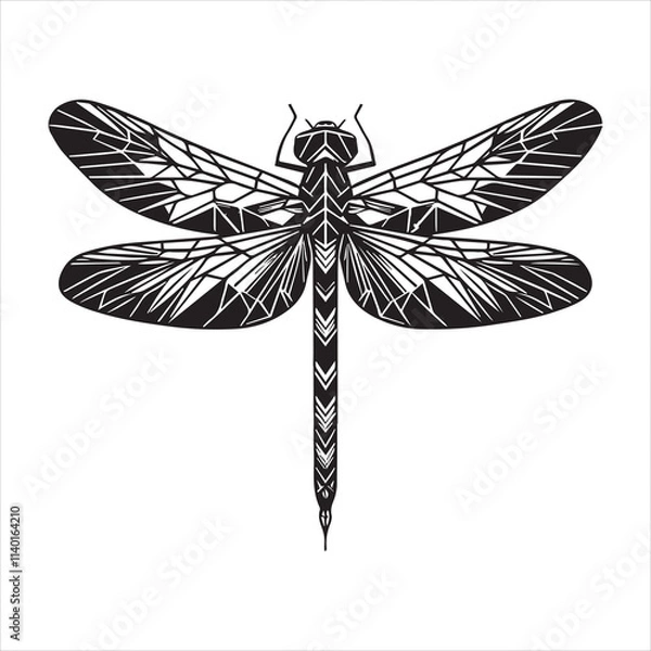 Obraz Beautiful Dragonfly Insect Design Vector