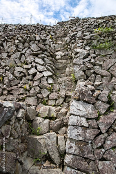 Fototapeta 遊子水荷浦の段畑（愛媛県宇和島市）