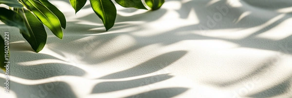 Obraz Sfondo bianco con sabbia bianca e piante verdi tropicali accanto. Spazio per immagine testo o messaggio.
