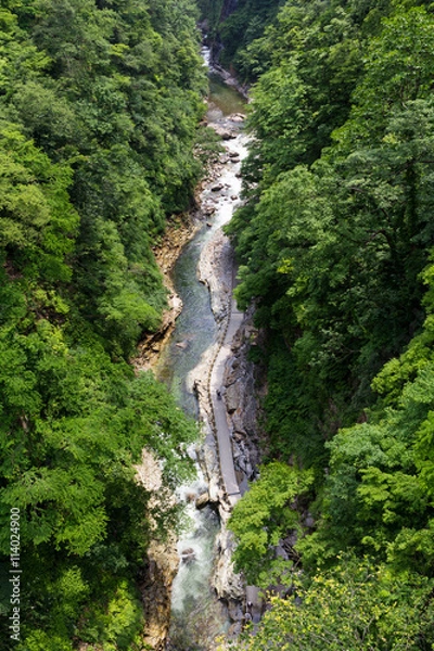 Fototapeta 初夏の小安峡