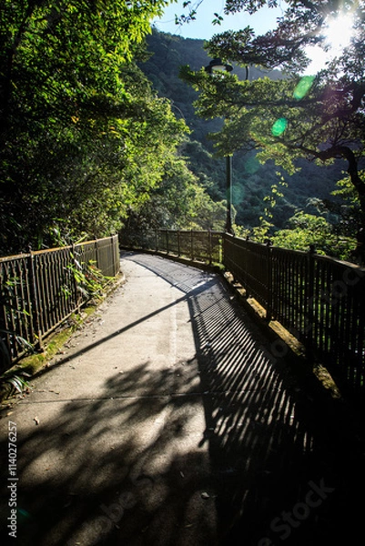 Fototapeta Winding Path with Railings and Striking Shadows