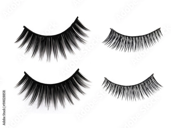 Obraz Close up a New Eyelashes, false eyelashes for woman eyes isolated on white background with copy space 