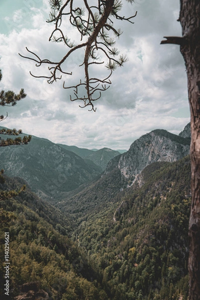 Obraz alpine