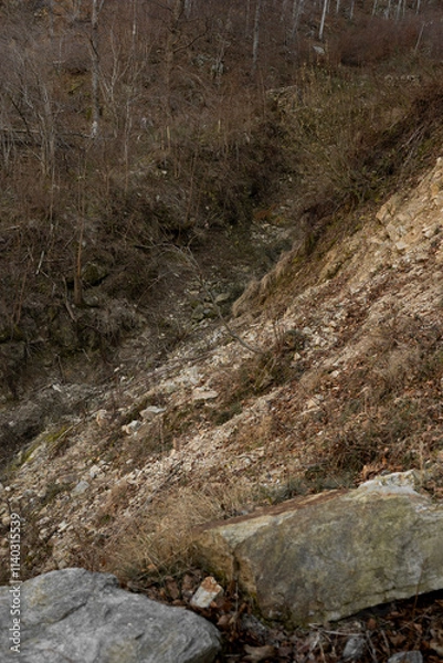 Fototapeta alberello sulle rocce