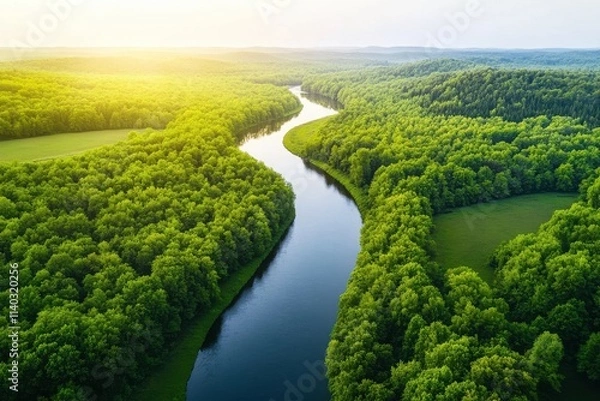 Fototapeta Serene aerial view of a winding river surrounded by lush green forests and fields, highlighting the beauty of nature.