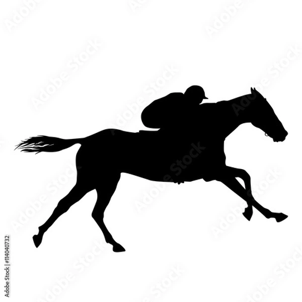 Obraz Horse rider black silhouette 