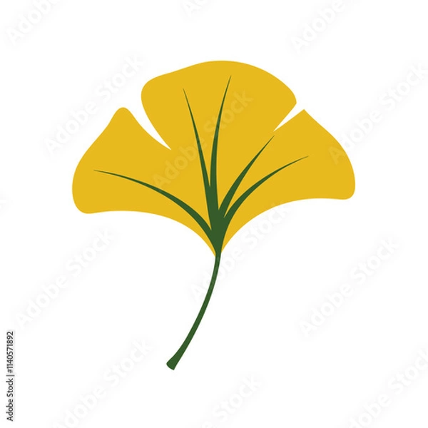 Fototapeta leaf isolated on white