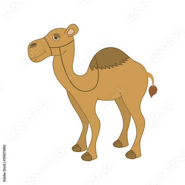 Fototapeta camel desert isolated icon design