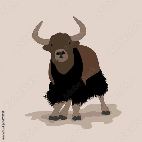 Fototapeta musk ox mountain yak Mountain bull vector illustration 