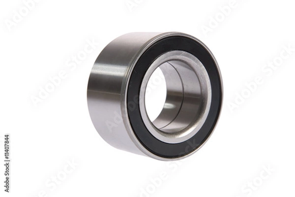 Obraz bearing isolated on white