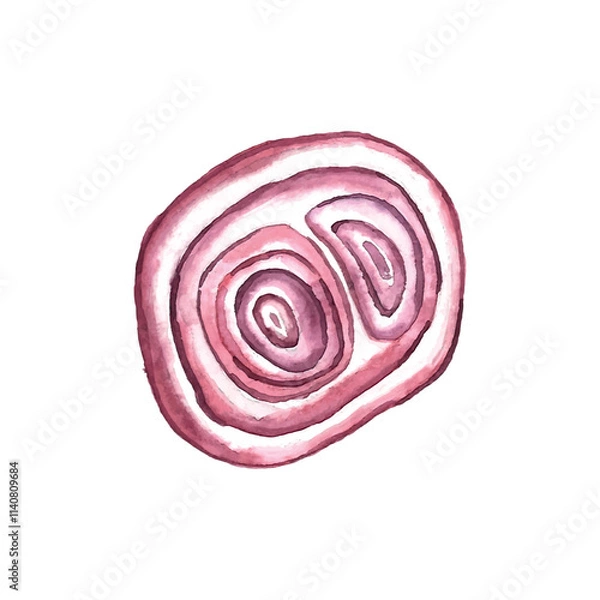 Obraz Red onion circle slice cutaway. Watercolor illustration isolated on white. Vector