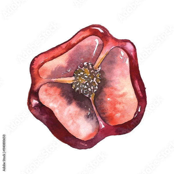 Obraz Single half of tasty red fresh raw pepper full of vitamins for cooking delicious salad or other food on breakfast or dinner isolated on white background