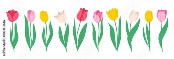 Obraz Set of spring flowers tulips. Multicolored tulips. Vector simple hand drawn illustration in doodle style isolated on white