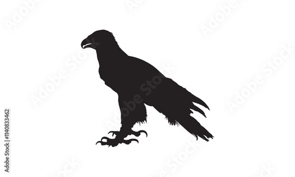Obraz eagle on a white background