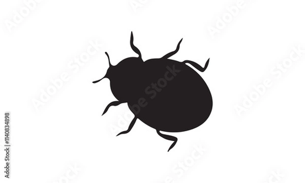 Obraz beetle isolated on white background