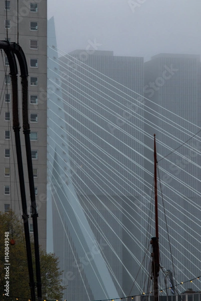 Obraz Erasmusbrug in Rotterdam