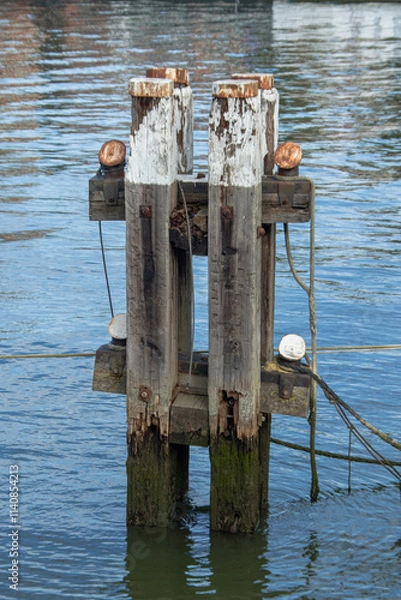 Obraz Floating ponton on river