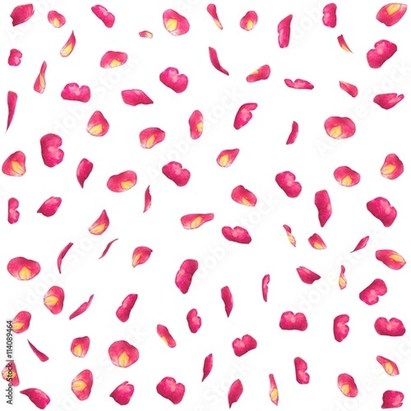Fototapeta Seamless texture of rose petals ribbed