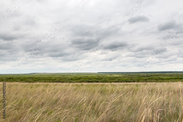 Fototapeta panoramic view from the high hill